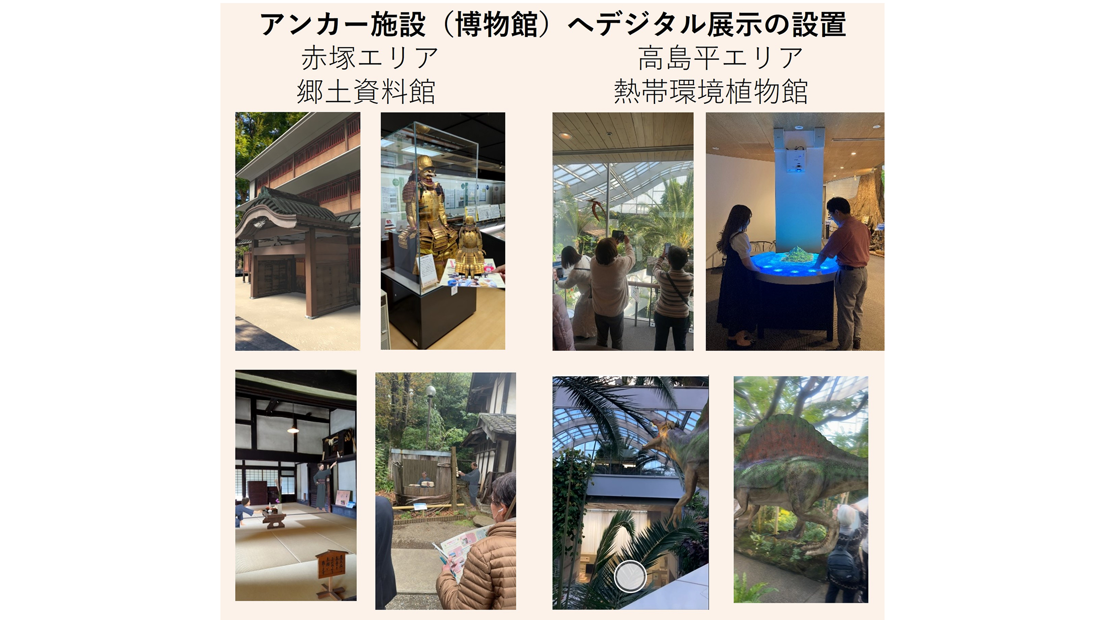 ４．今後の展開