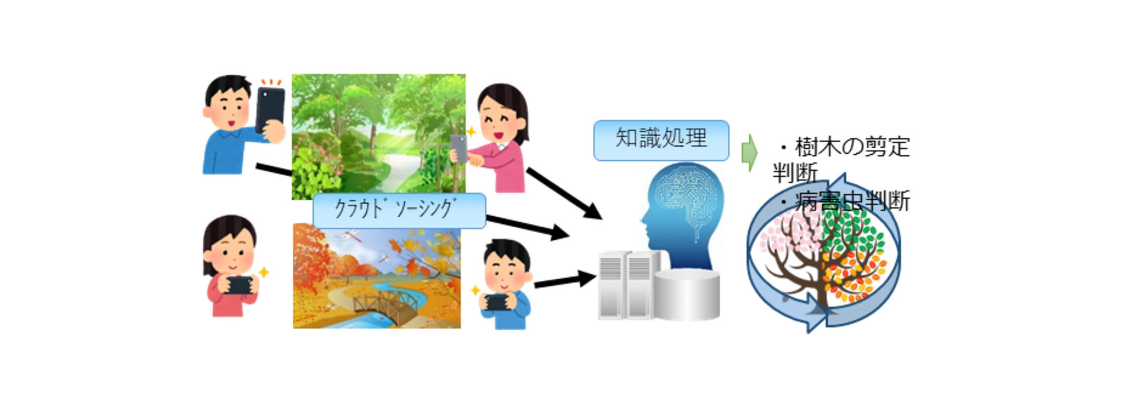 Image Park management project that involves residents