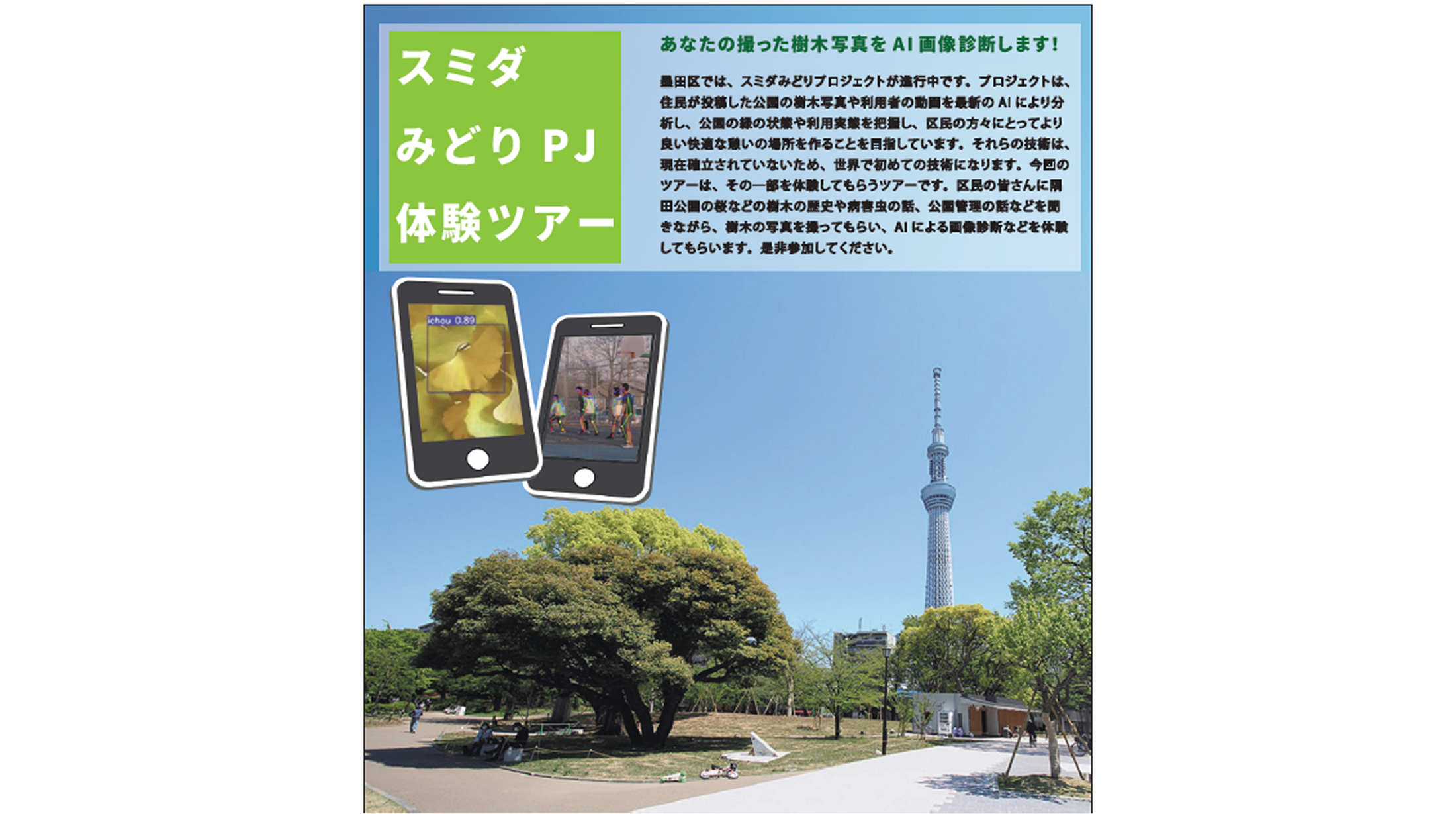 ４．今後の展開