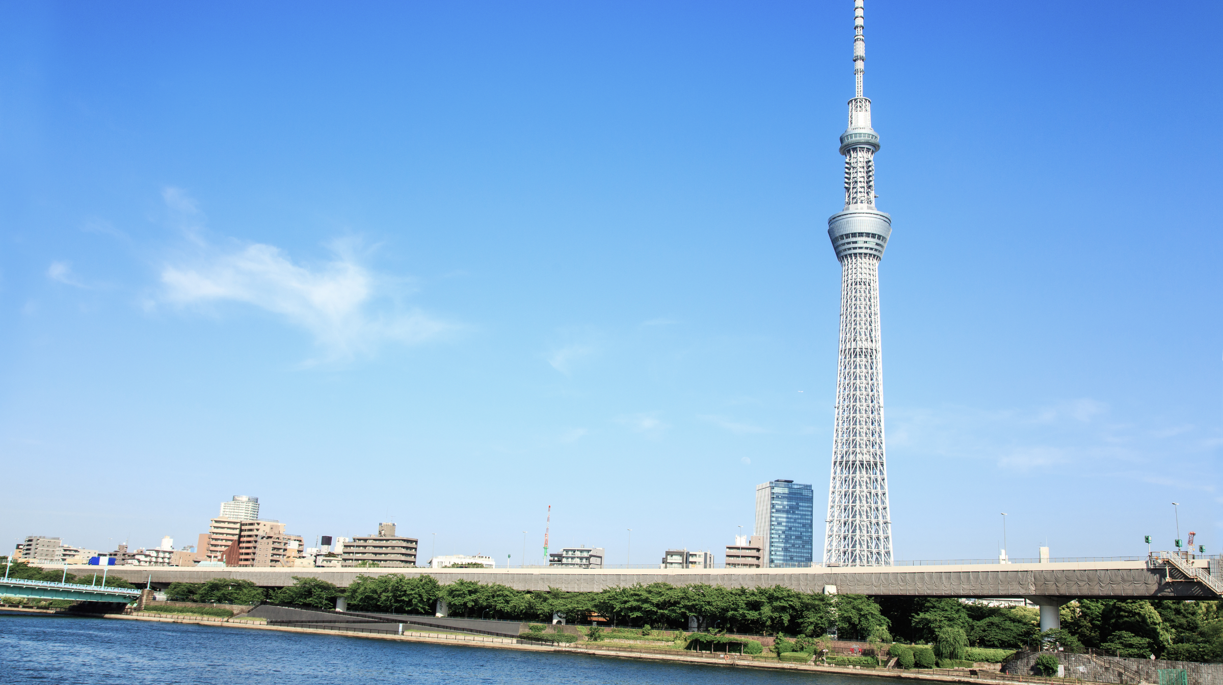 文花・京島・押上 （墨田区）の青空と東京スカイツリーの景観写真